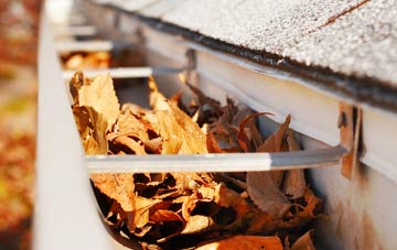 Wispington gutter cleaning companies