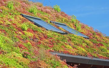 Wispington living roof systems